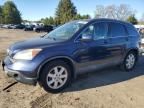 2009 Honda CR-V EXL