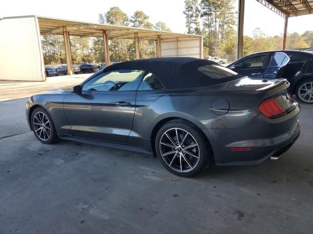 2019 Ford Mustang