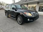 2011 Lexus LX 570