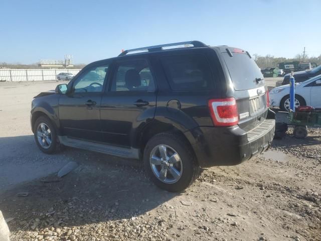 2010 Ford Escape Limited