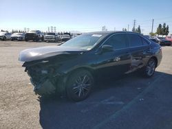 Salvage cars for sale at Rancho Cucamonga, CA auction: 2017 Toyota Camry LE