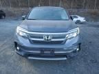 2019 Honda Pilot EXL