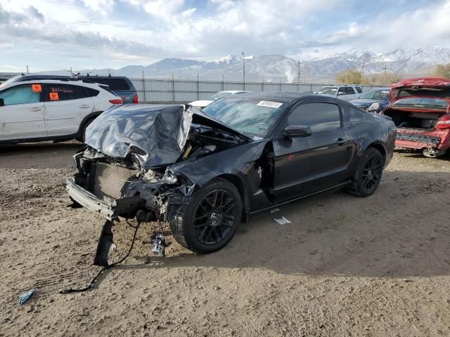 2014 Ford Mustang