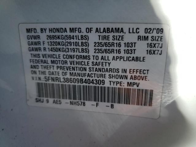 2009 Honda Odyssey EXL