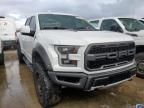 2020 Ford F150 Raptor