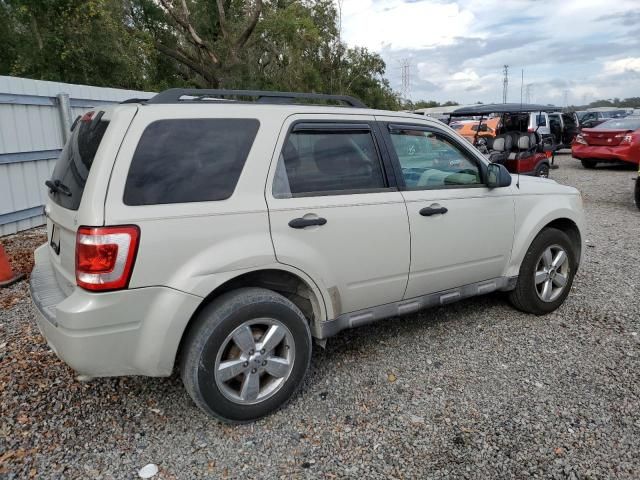 2009 Ford Escape XLT