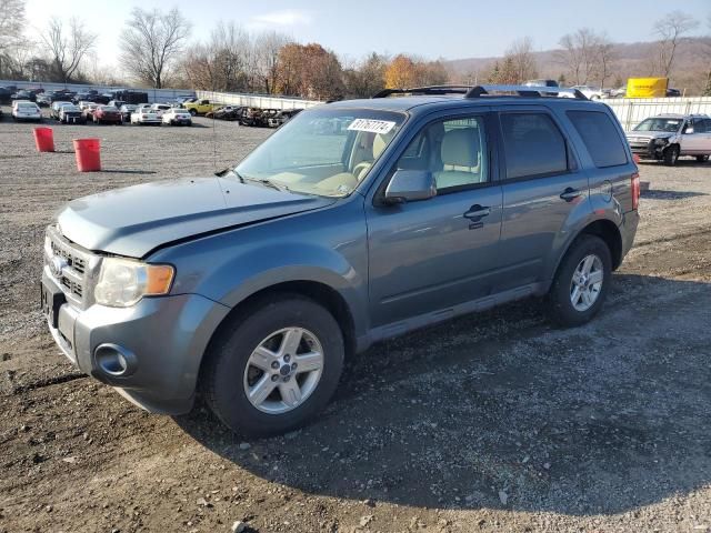 2010 Ford Escape Limited