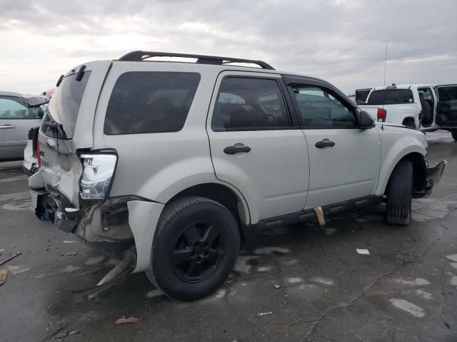 2009 Ford Escape XLT