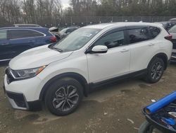 Salvage cars for sale from Copart Waldorf, MD: 2022 Honda CR-V EXL