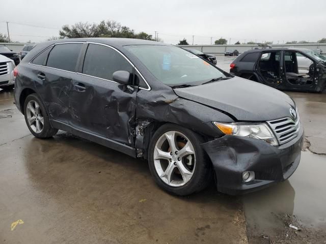 2010 Toyota Venza