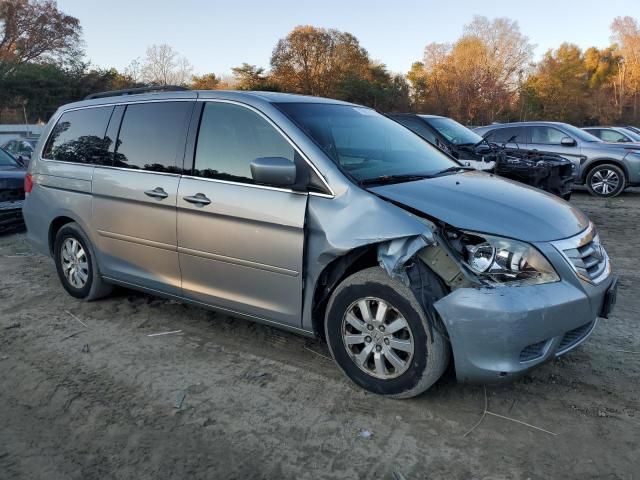 2008 Honda Odyssey EXL