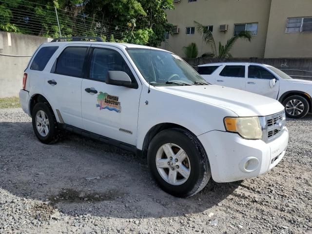 2008 Ford Escape HEV