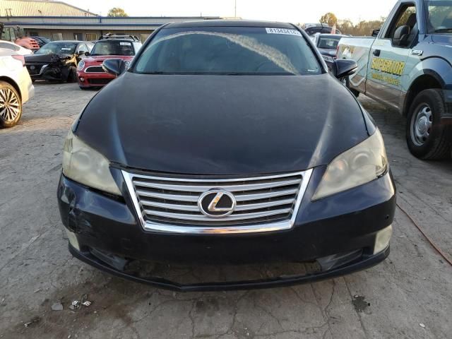 2010 Lexus ES 350