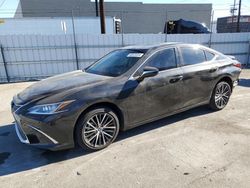 Lexus salvage cars for sale: 2024 Lexus ES 300H Base