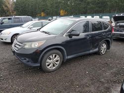 Honda crv Vehiculos salvage en venta: 2013 Honda CR-V EXL