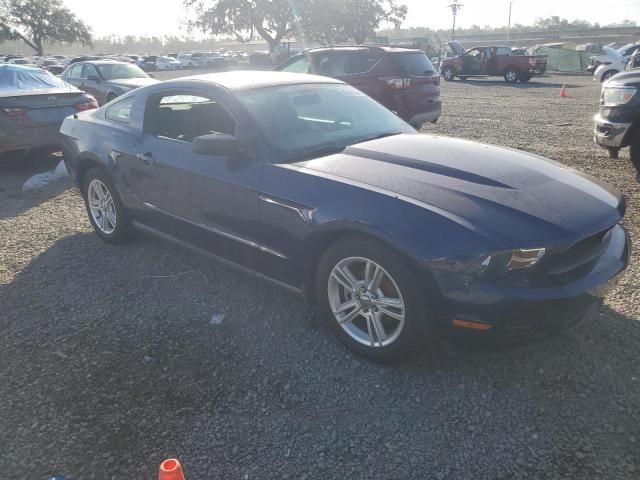 2010 Ford Mustang