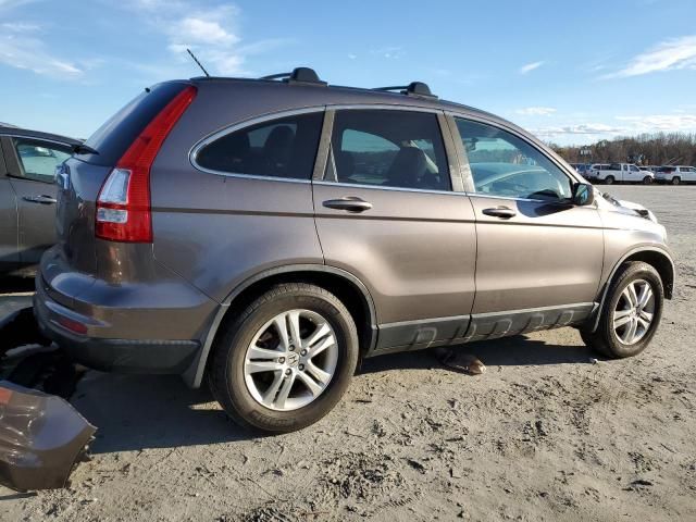 2010 Honda CR-V EXL