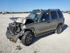 2005 Jeep Liberty Renegade