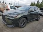 2023 Lexus NX 350