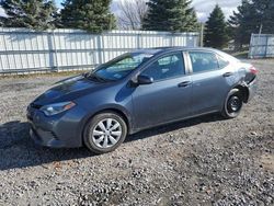 Salvage cars for sale at Albany, NY auction: 2015 Toyota Corolla L