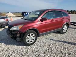 Honda crv Vehiculos salvage en venta: 2007 Honda CR-V EXL