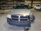 2005 Dodge Dakota Quad SLT