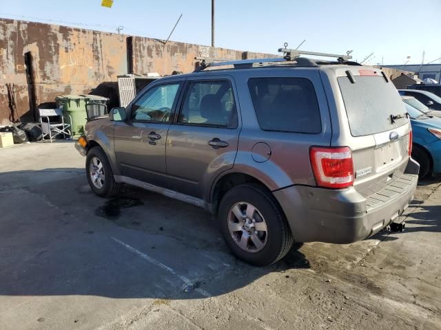 2010 Ford Escape Limited