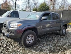 Salvage cars for sale at auction: 2023 Toyota Tacoma Double Cab