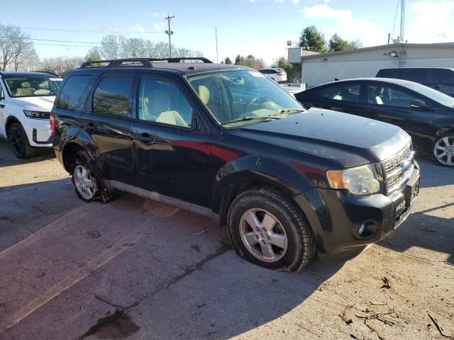 2009 Ford Escape XLT