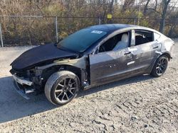 Tesla Model 3 salvage cars for sale: 2021 Tesla Model 3