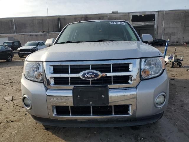 2009 Ford Escape Limited