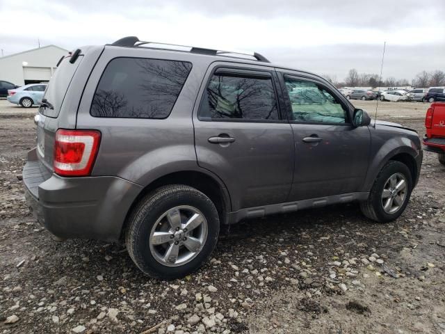 2009 Ford Escape Limited