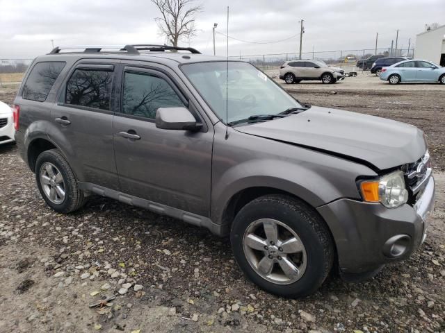 2009 Ford Escape Limited