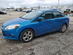 Ford salvage cars for sale: 2014 Ford Focus SE