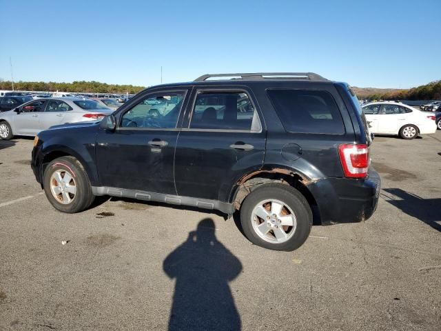 2012 Ford Escape XLT