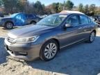 2015 Honda Accord EX