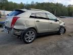 2011 Cadillac SRX Performance Collection