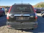 2010 Honda CR-V EXL