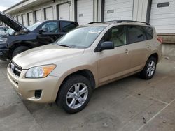 Salvage cars for sale at Louisville, KY auction: 2011 Toyota Rav4