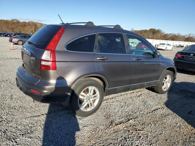 2010 Honda CR-V EXL