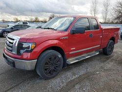 2012 Ford F150 Super Cab en venta en London, ON