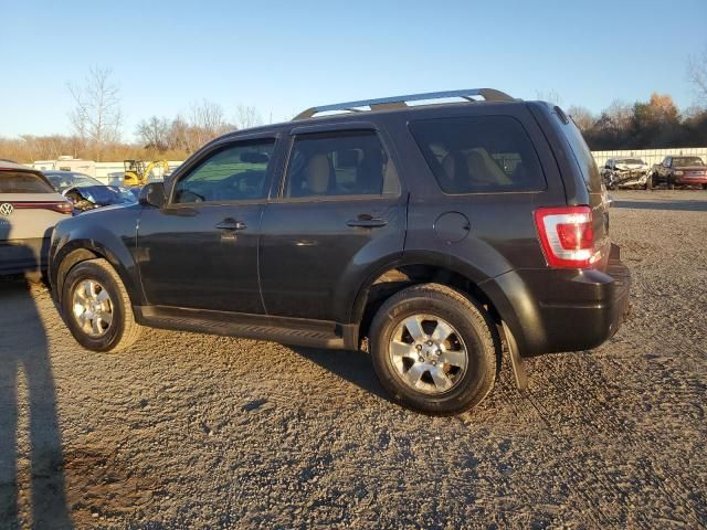 2011 Ford Escape Limited