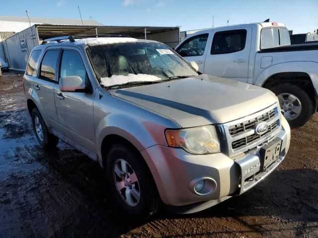 2010 Ford Escape Limited