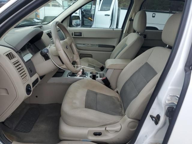 2008 Ford Escape XLT