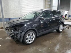 Salvage cars for sale from Copart Ham Lake, MN: 2014 Ford Escape Titanium