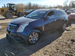 Cadillac Vehiculos salvage en venta: 2010 Cadillac SRX Luxury Collection