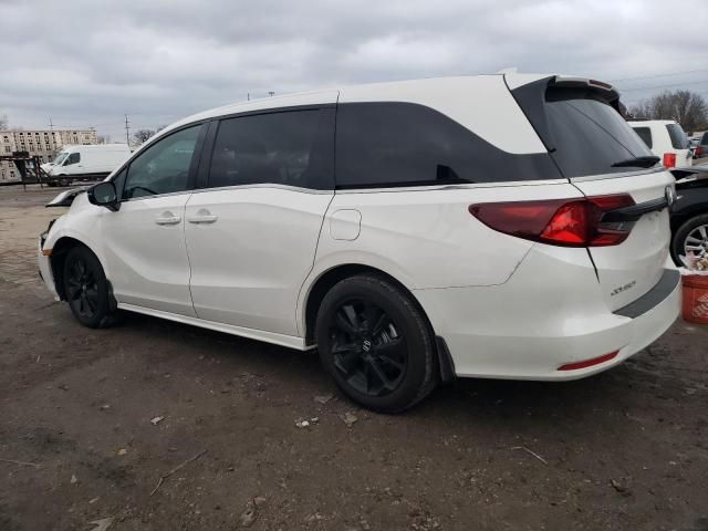 2024 Honda Odyssey Sport