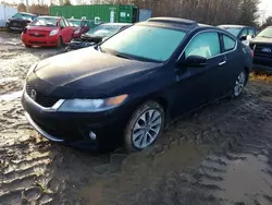 Salvage cars for sale at Montreal Est, QC auction: 2014 Honda Accord EX