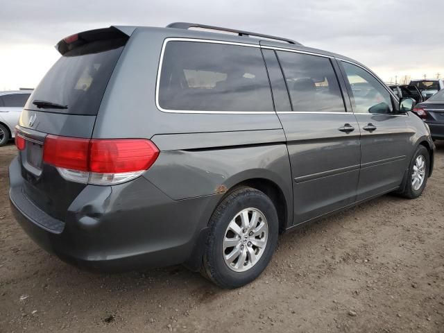 2008 Honda Odyssey EXL