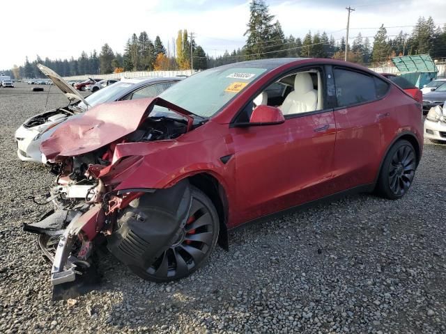 2024 Tesla Model Y